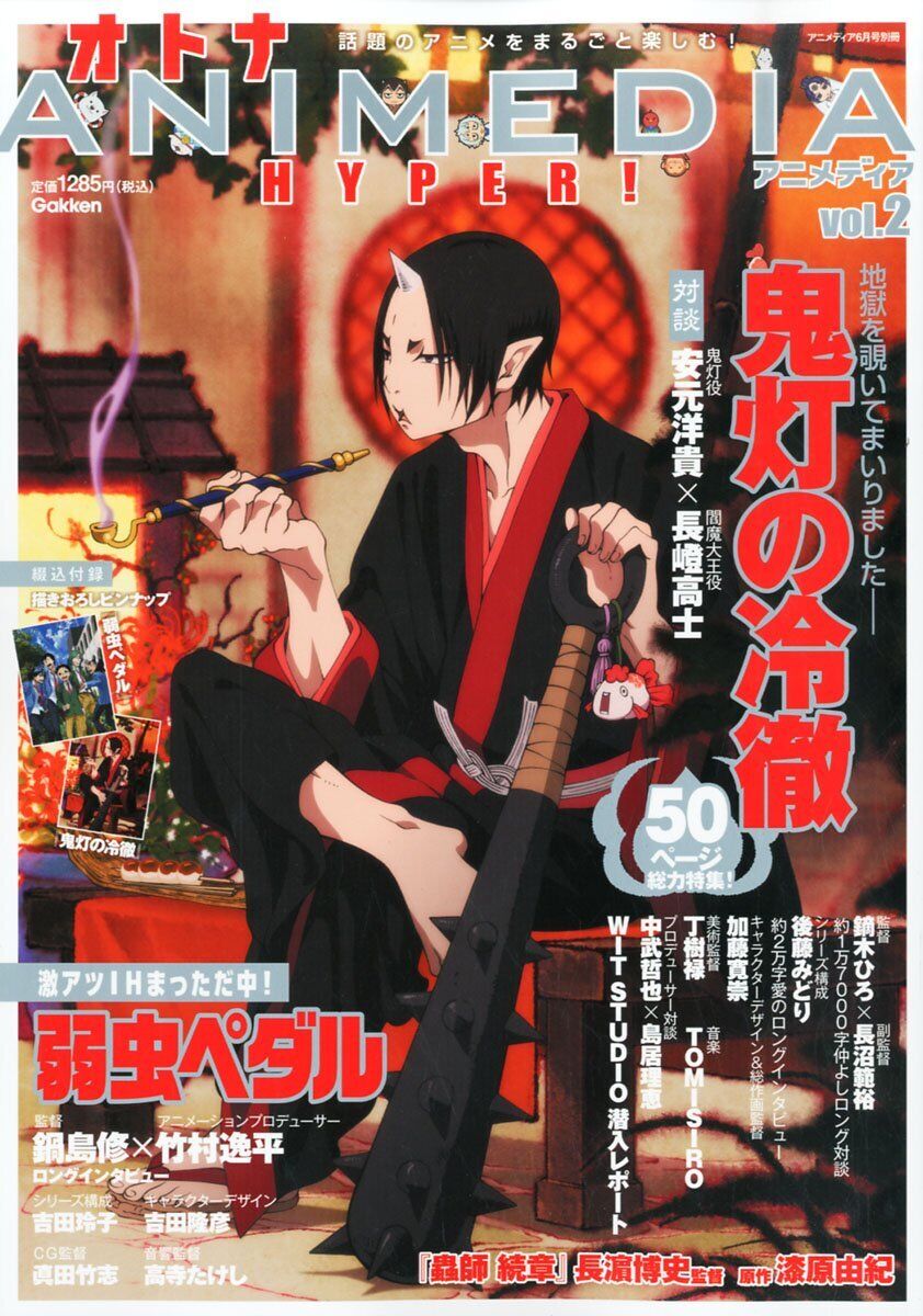 Otona Animedia Hyper Vol.2 June 2014 issue