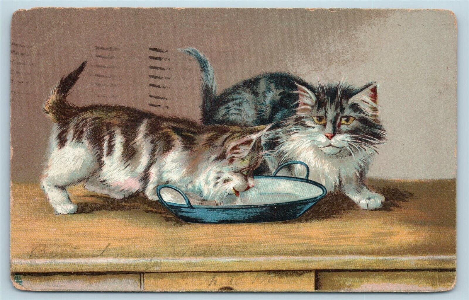 Postcard Kittens Cats Drinking Milk From Bowl c1908 M Boulanger AA11