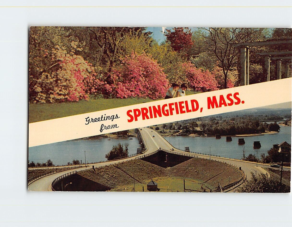 Postcard Greetings from Springfield, Massachusetts USA