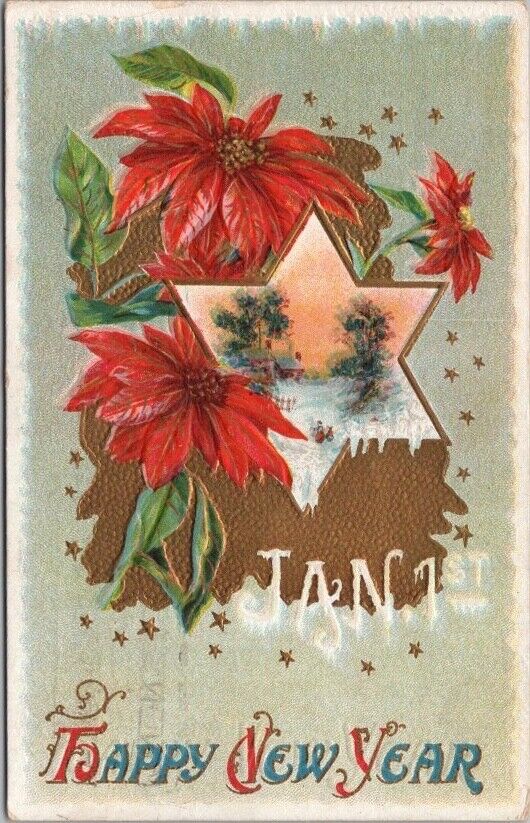1911 HAPPY NEW YEAR Embossed Postcard Poinsettia Flowers / Six-Pointed Star BS