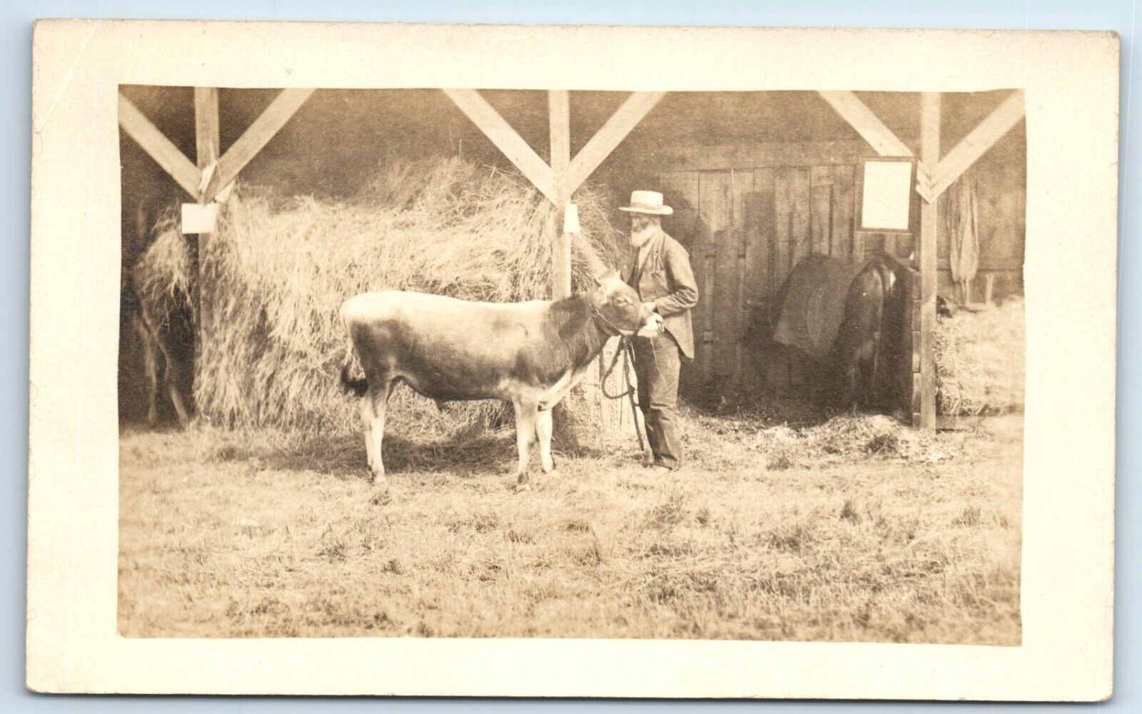 Postcard Farmer with Livestock, Cattle, Hay Stack, Stables c1907-1917 RPPC F176