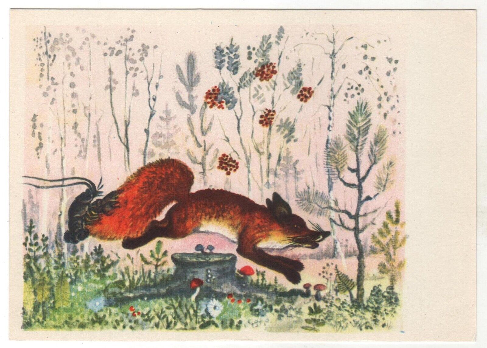 1969 Fairy Tale FOX & Cancer Animals Amanita mushrooms ART RUSSIAN POSTCARD Old