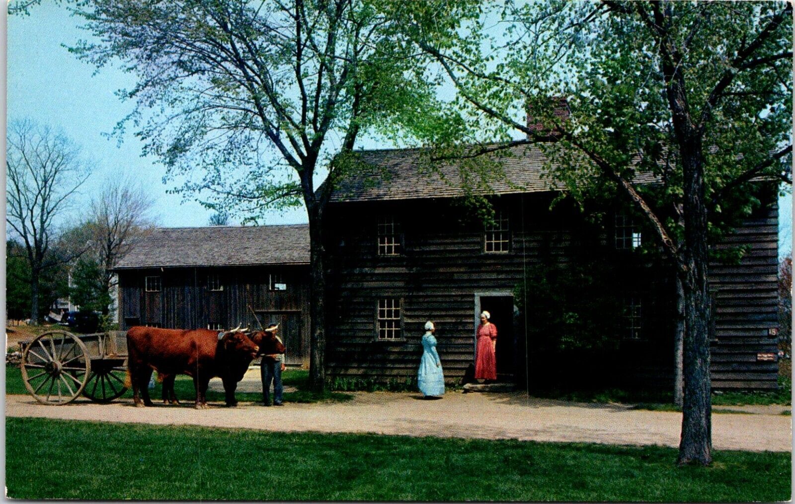 Postcard Old Sturbridge Village Fenno House Durham Oxen Herb Massachusetts B179