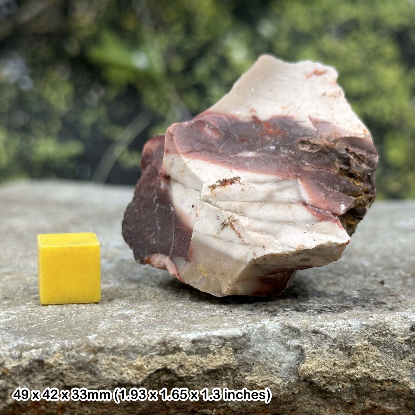 Certified Rough Mookaite - Genuine Spiritual Healing Crystal Mineral Stone