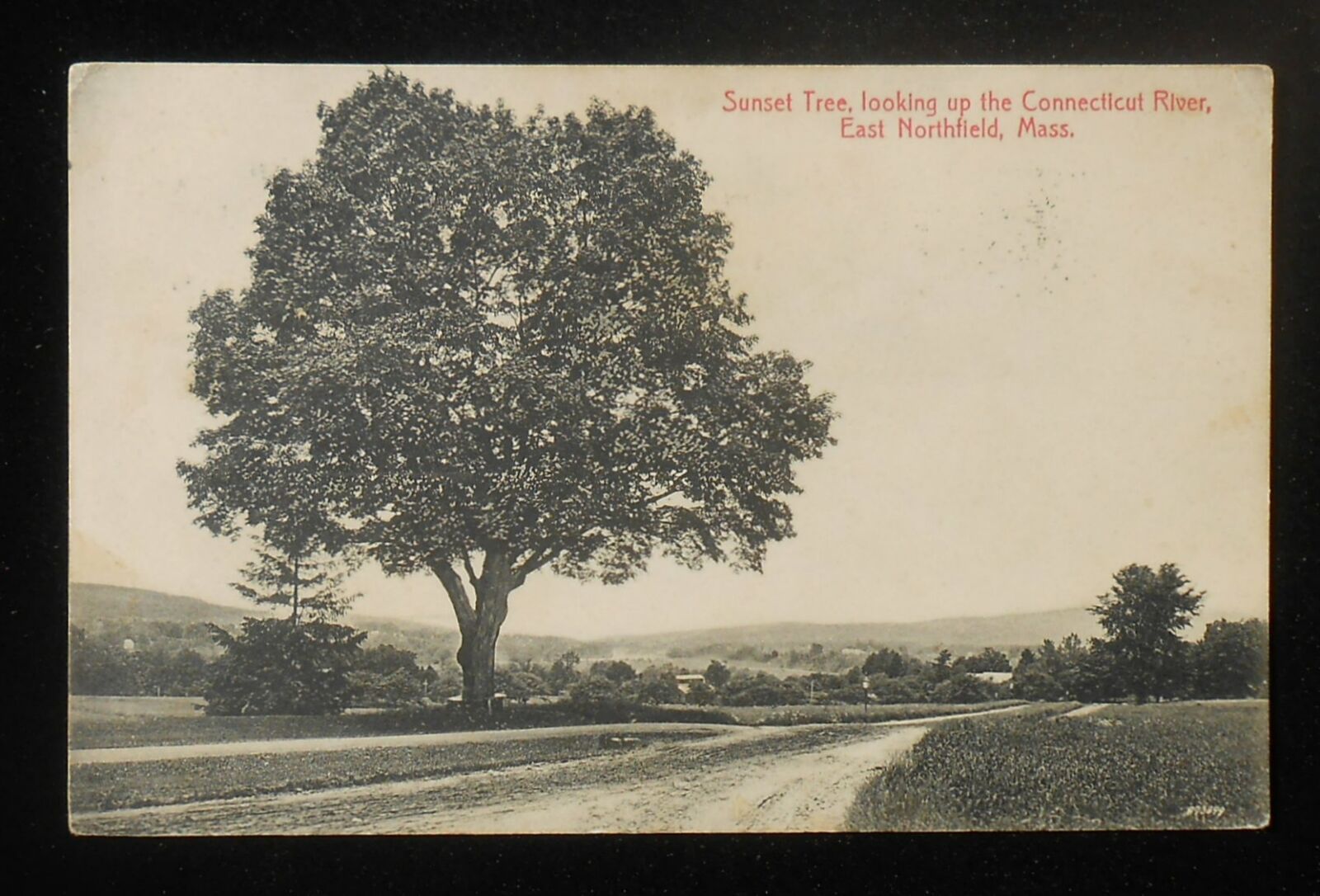 1912 Sunset Tree looking Up the Connecticut River East Northfield MA Franklin Co