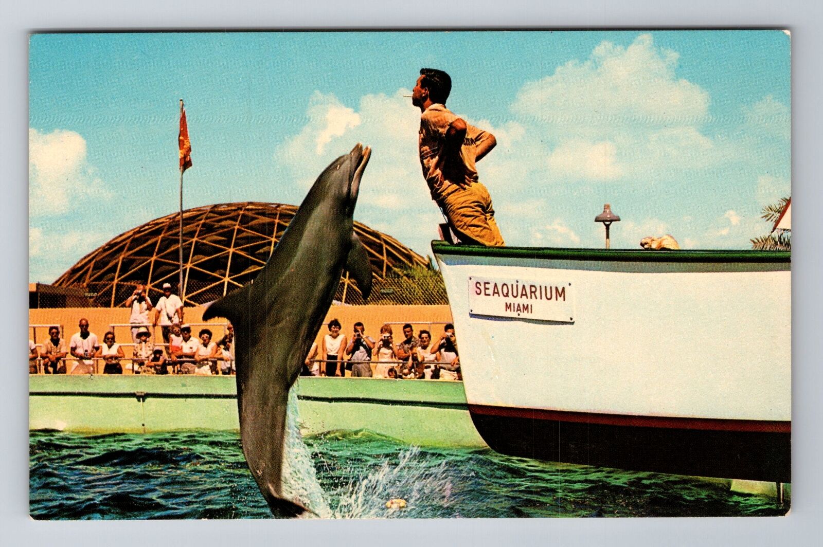 Miami FL-Florida, Trained Porpoise, Seaquarium, Antique Vintage Postcard