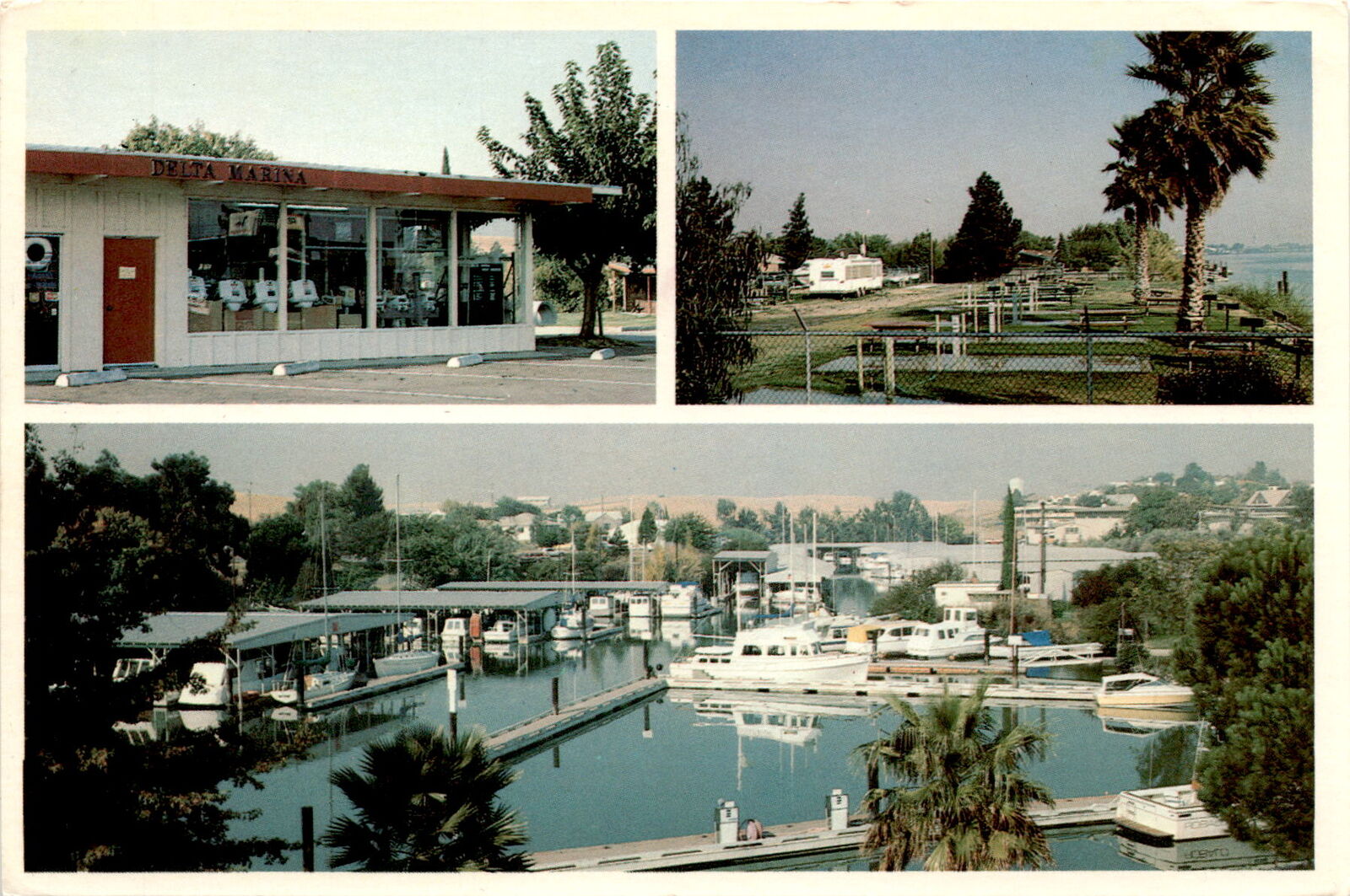 Delta Marina Yacht Harbor, Rio Vista, California, Northern California, Postcard