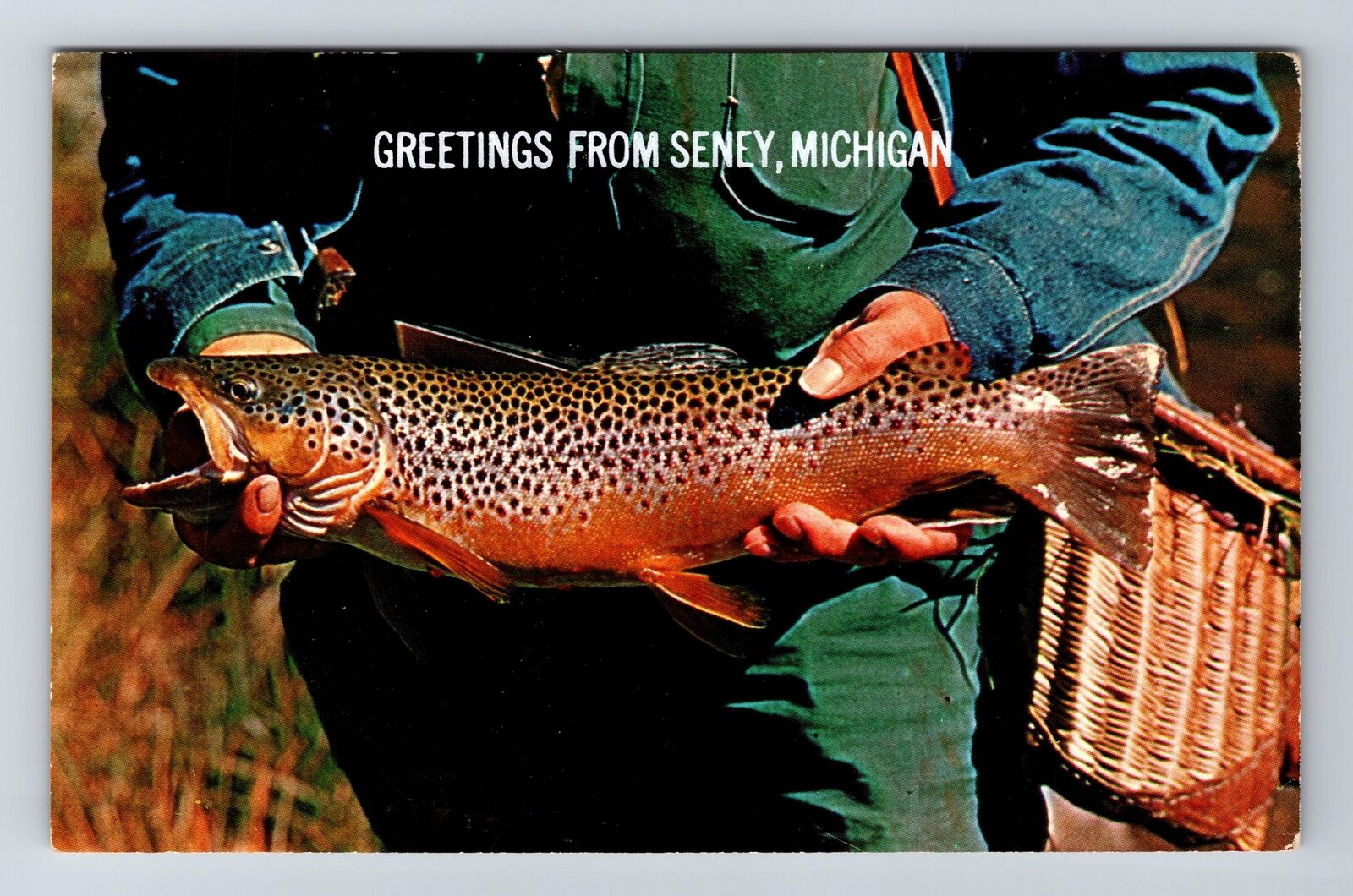 Seney MI-Michigan, Guy Holding A Fish, Greetings, Souvenir, Vintage Postcard