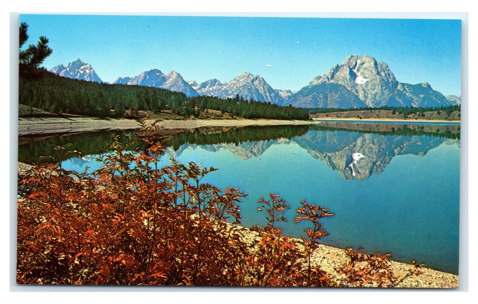 Postcard Majestic Teton Range - National Park WY Wyoming J14