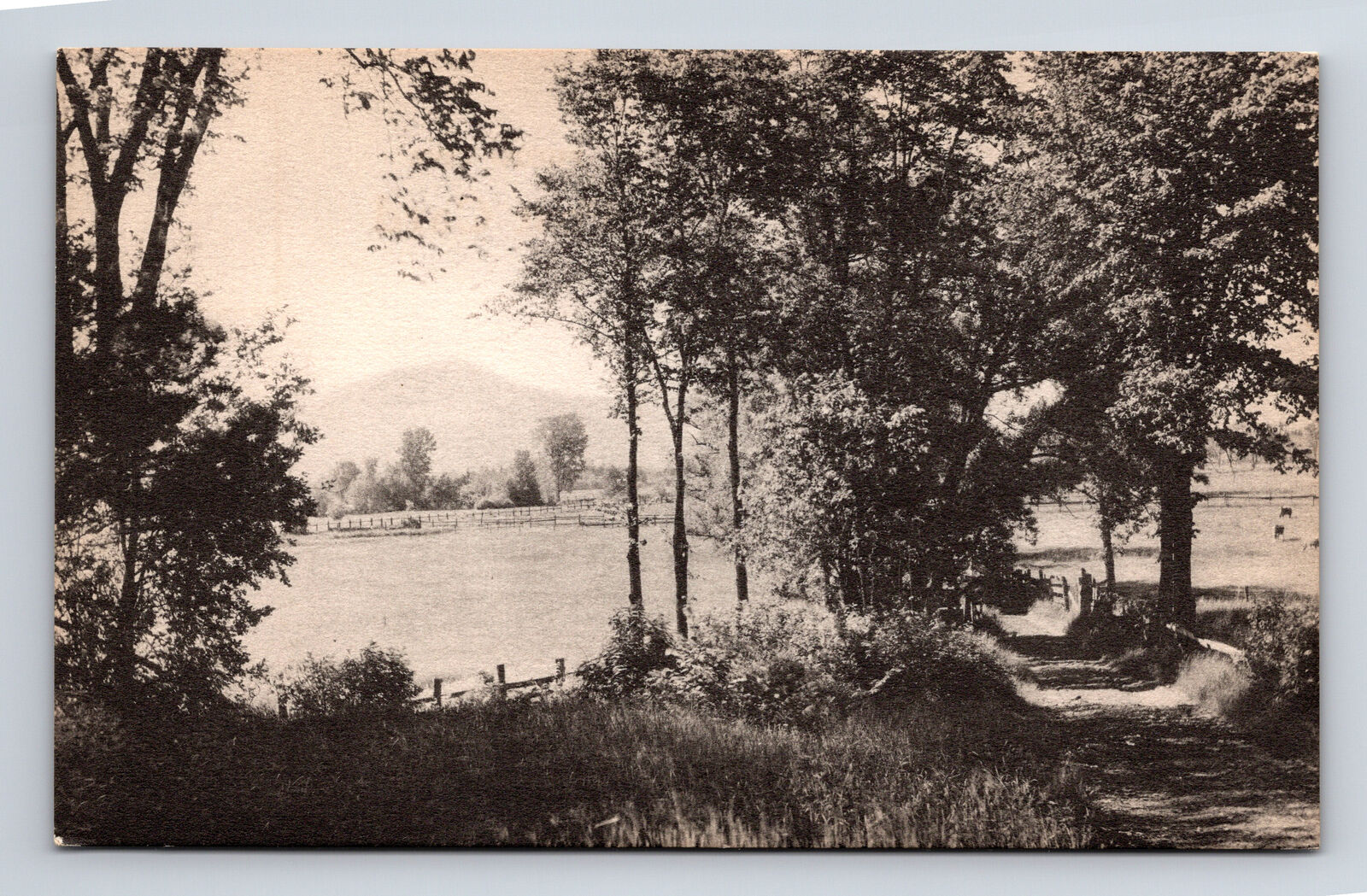 Scenic View Meadow Lane Counrty Road Fryeburg Maine ME Postcard