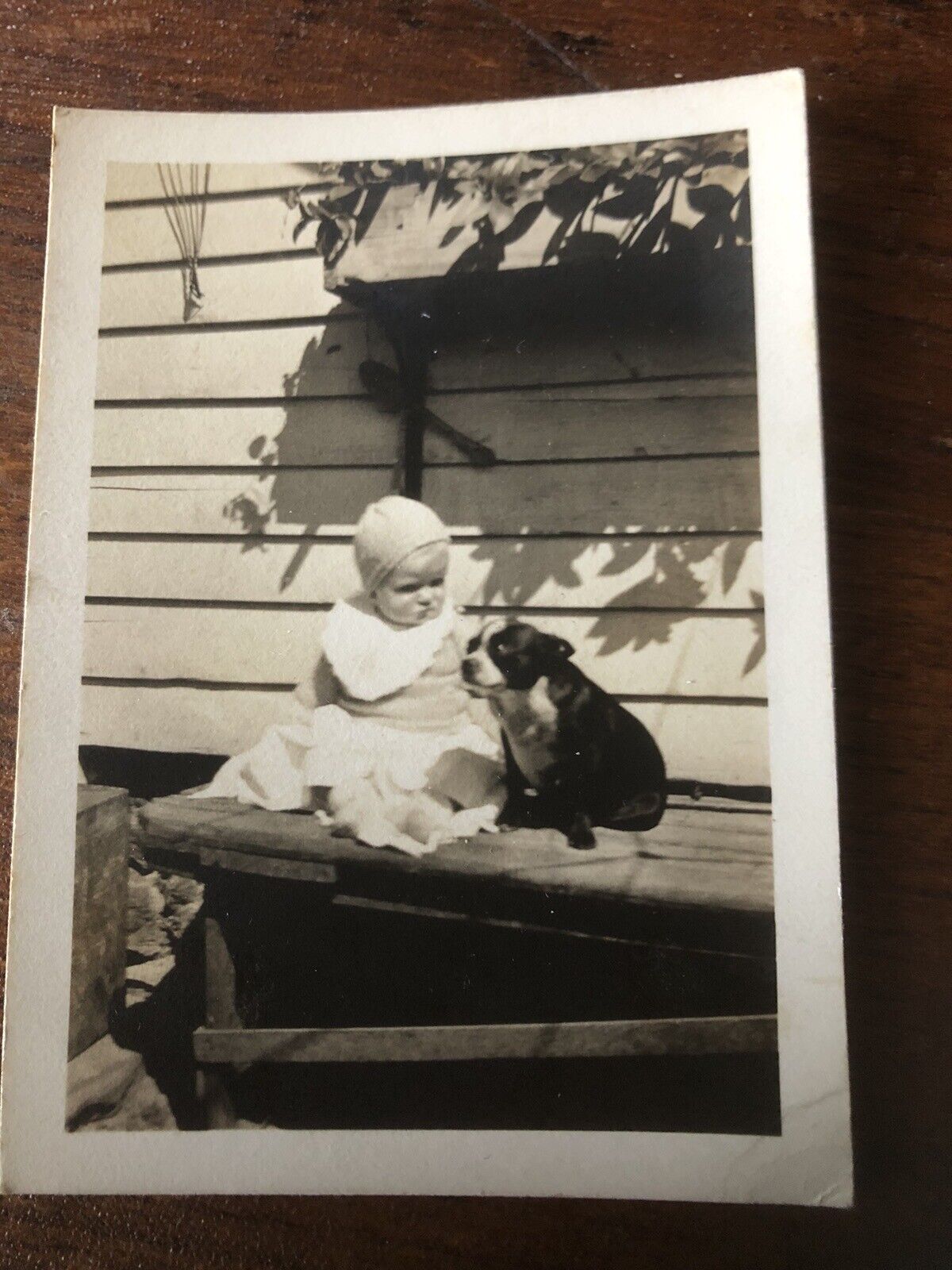 Vintage Old  Adorable 1930s Photo of a Baby & Boston Terrier DOG Geneva NY