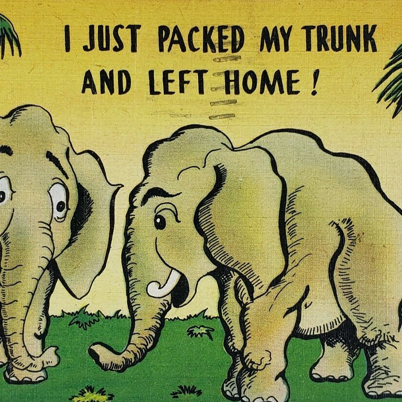 Elephant Comic Humor Linen Postcard c1948 Packed Trunk Luggage Joke Vintage B328