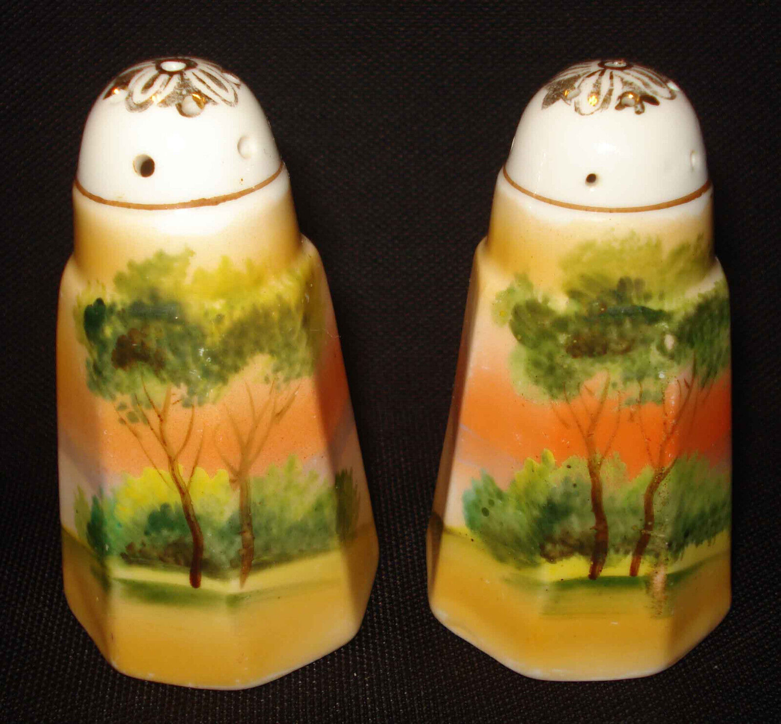 Vintage Nippon Hand Painted Porcelain Sunset Orange Trees Salt & Pepper Shakers