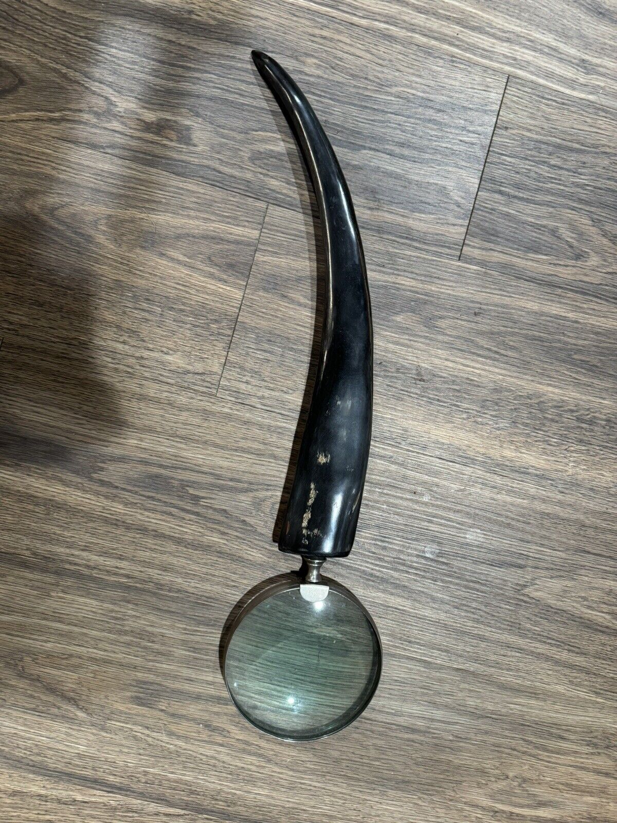 Vintage Large Horn Handle Magnifying Glass 20\