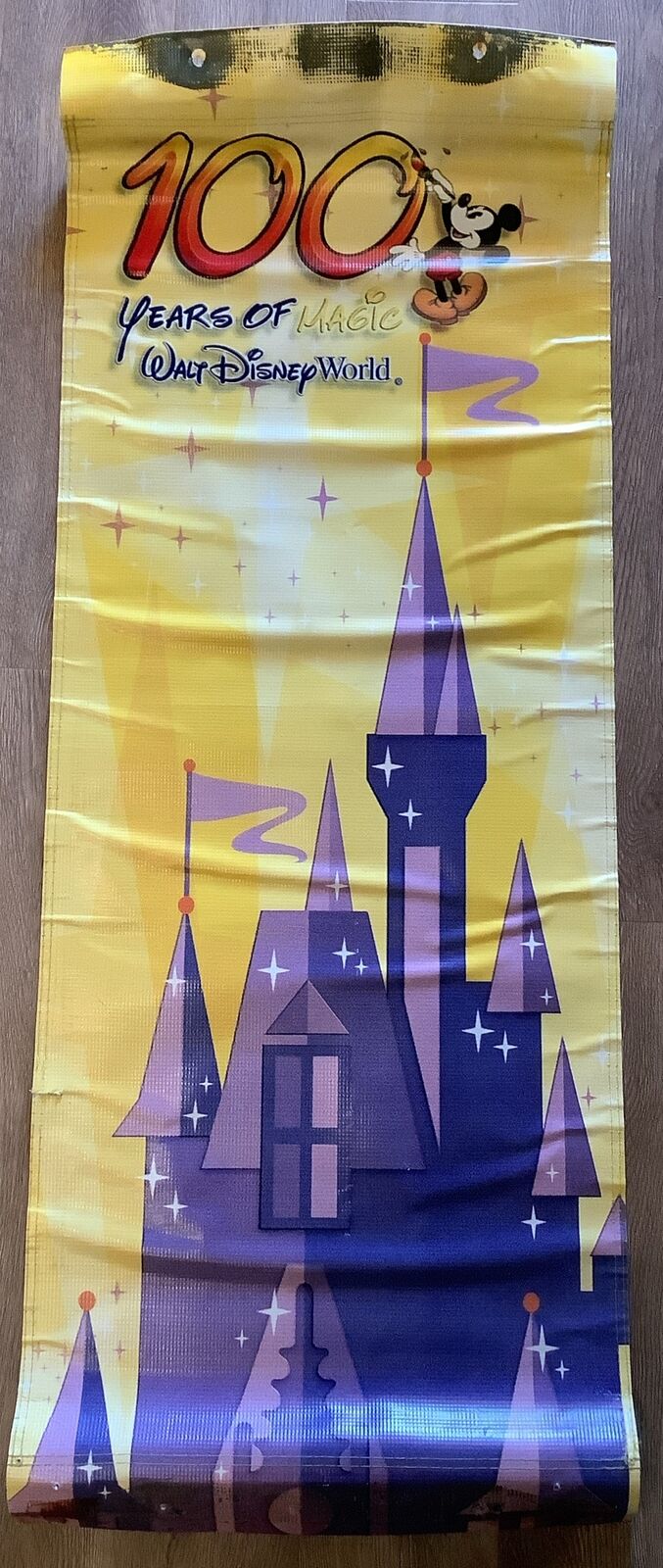 Disney World Park Used 2001  Vinyl Lamppost Banner Prop 100 Years Of Magic