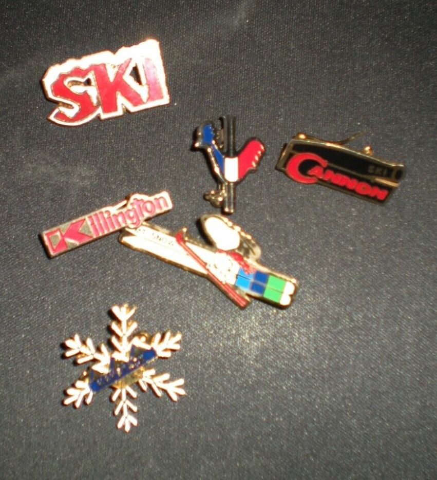 (6) Vintage Skiing Ski Badge Pins