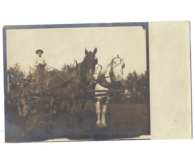 c.1900s Boy Standing On Wagon With Two Horses RPPC Real Photo Postcard UNPOSTED