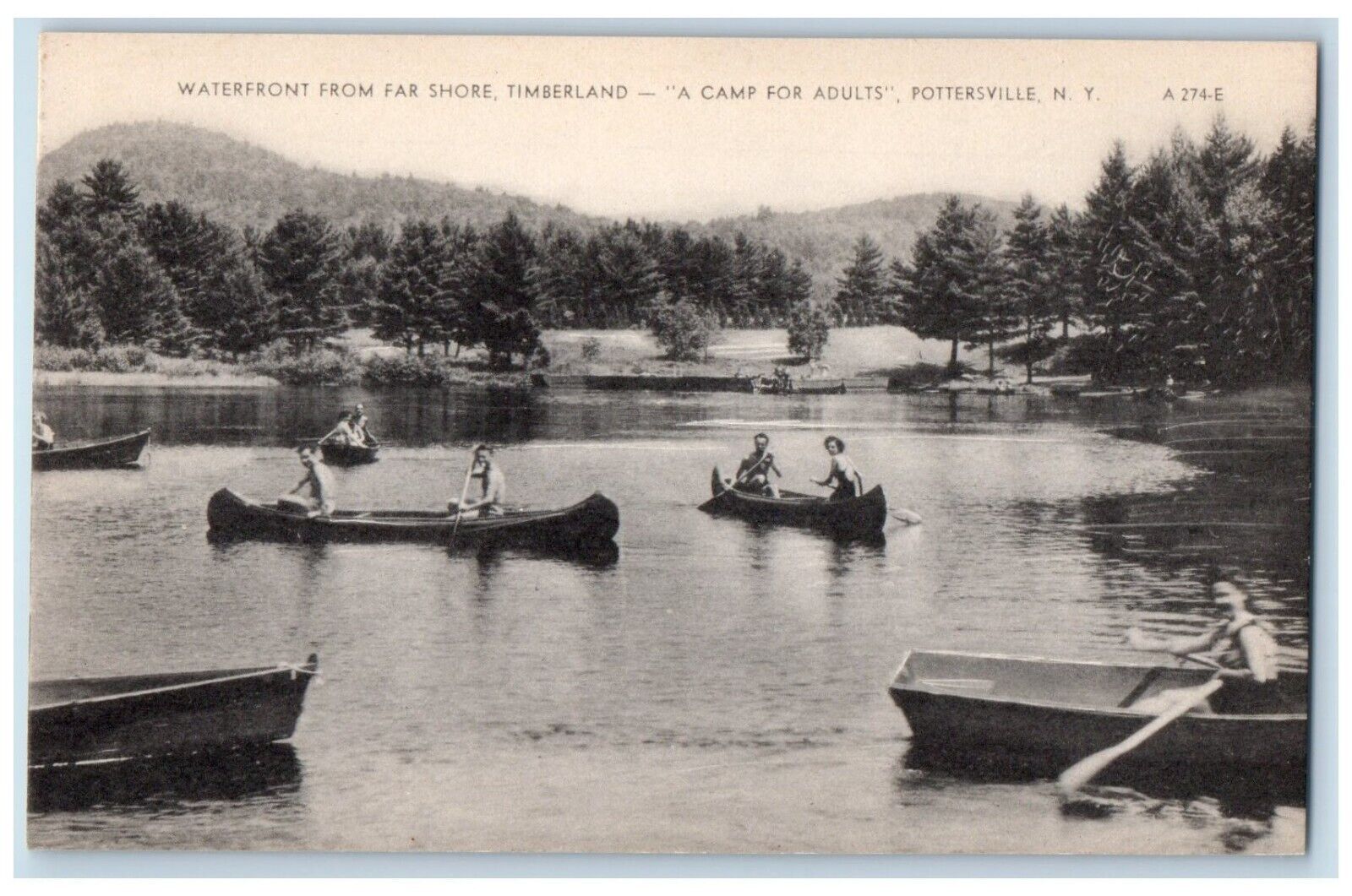 c1910 Waterfront Far Shore Timberland Pottersville New York NY Antique Postcard