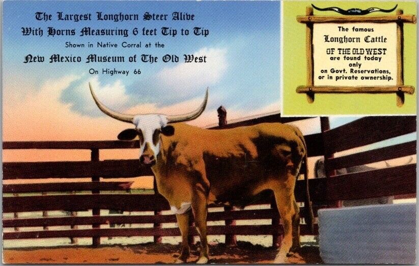 1950s LONGHORN RANCH New Mexico Postcard \