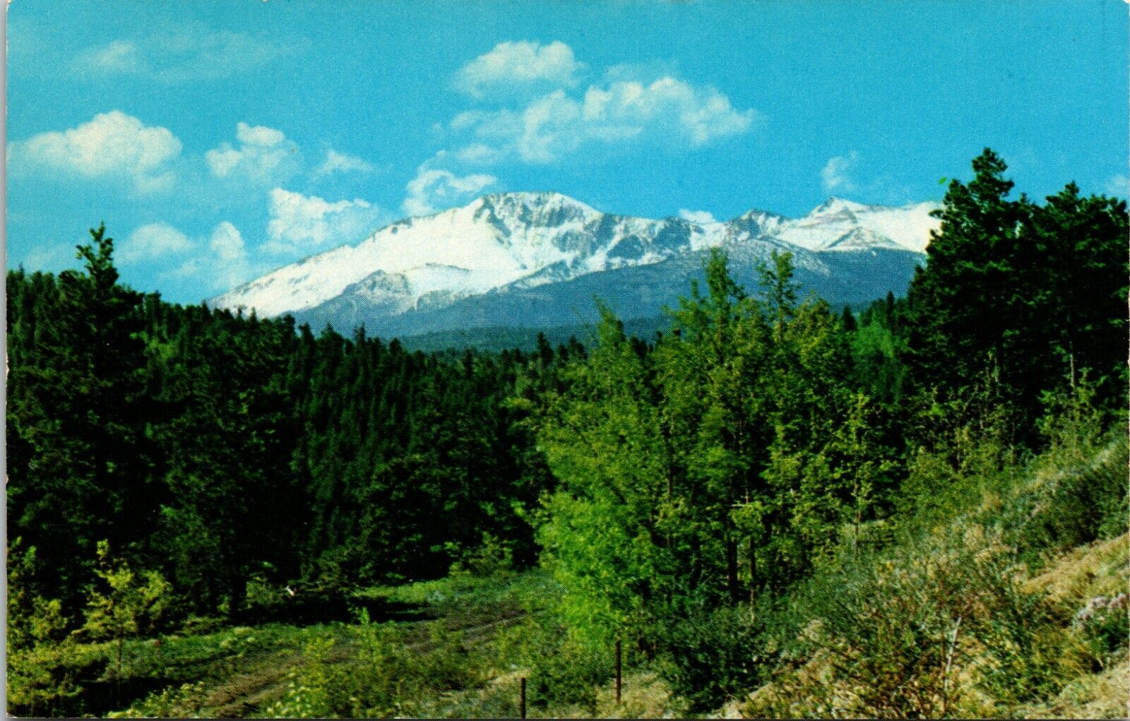 Green View of Majestic Pikes Peak Colorado Vintage Postcard