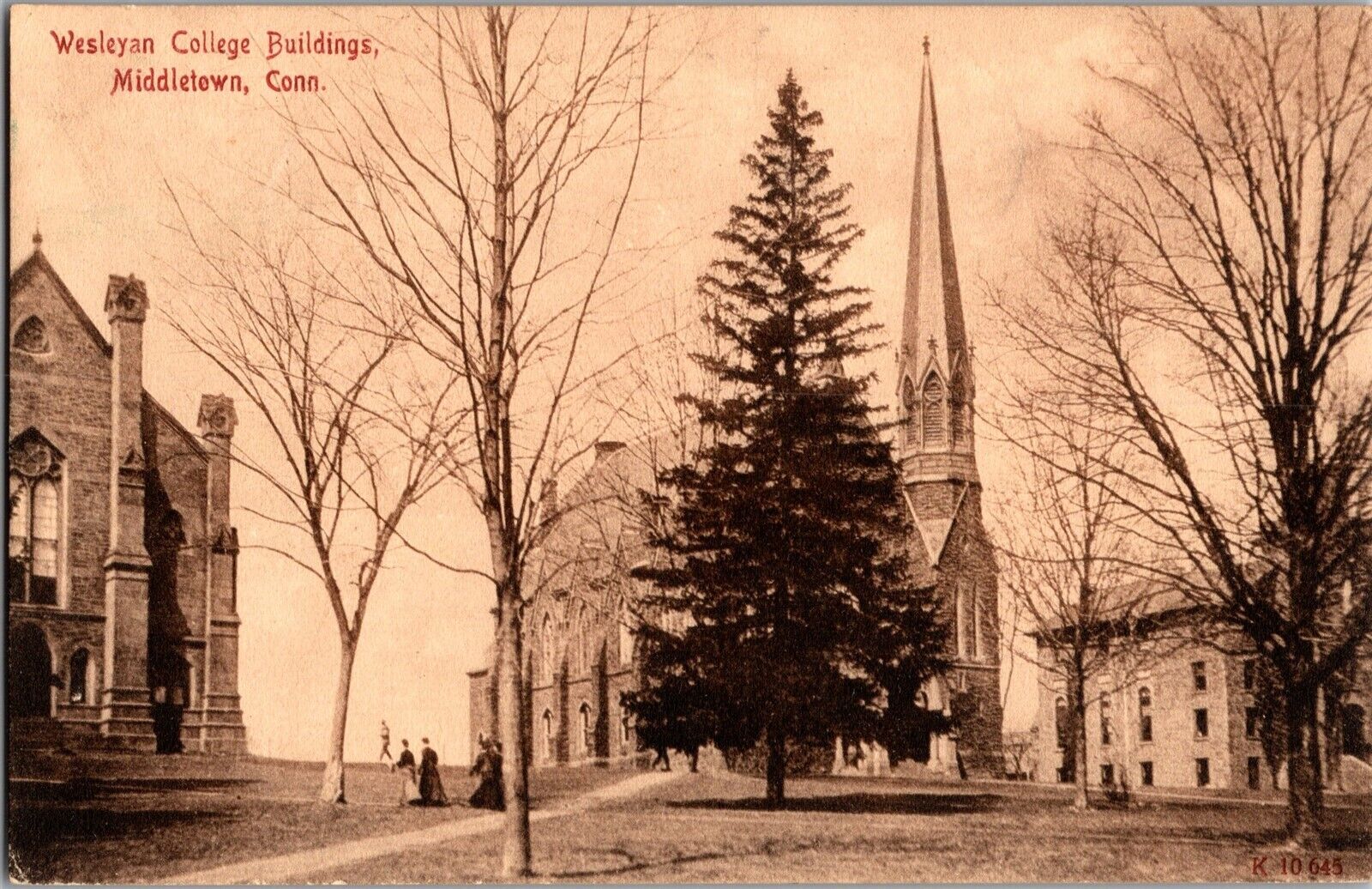 Wesleyan College Buildings, Middletown CT c1908 Vintage Postcard O53