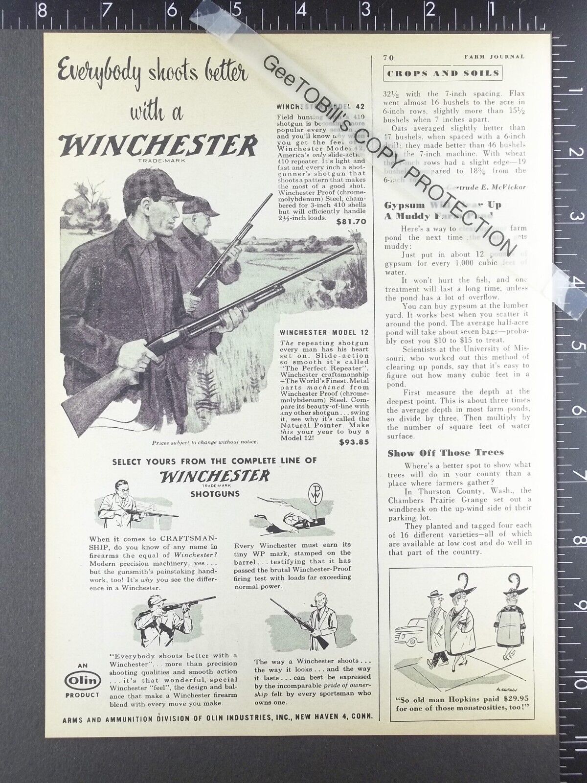 1953 ADVERTISING for Winchester model 42 12 shotguns