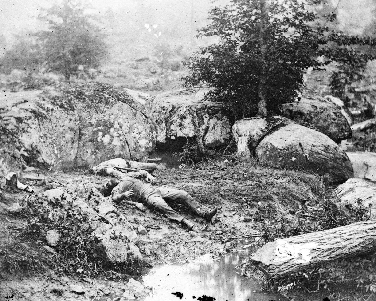 Confederate Dead Soldiers Slaughter Pen Gettysburg 8x10 Civil War Photo 1863