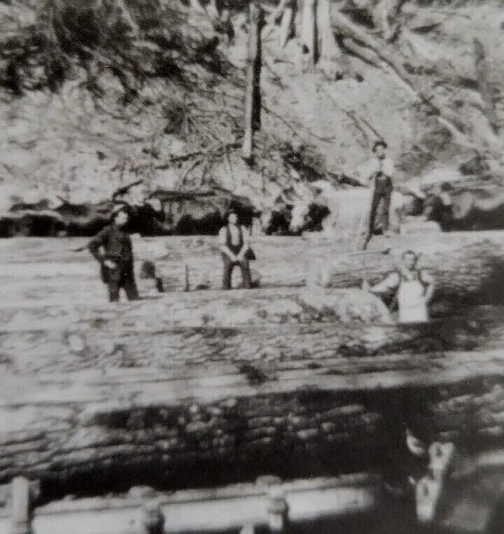 Photo Loggers Acme Logging Camp Acme Wash Taken from org 1907 negative