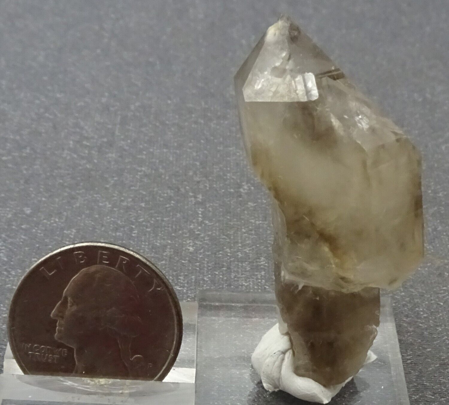 Smoky Quartz Scepter Crystal, Nevada - Mineral Specimen for Sale