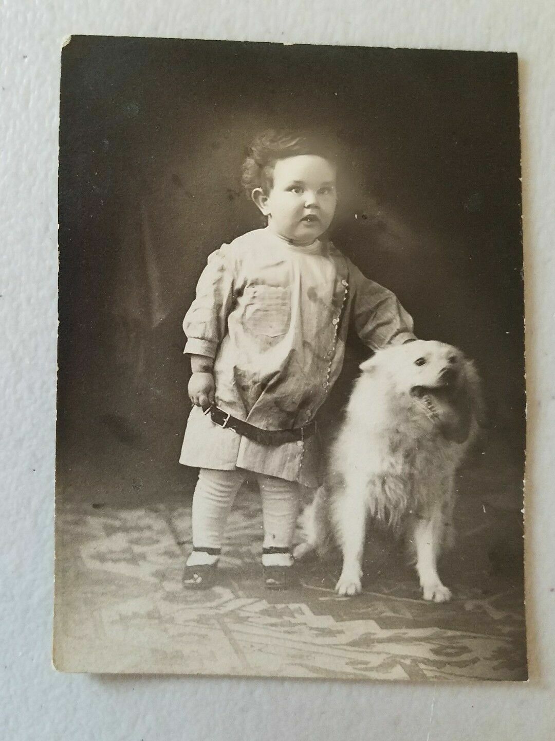 MAGNIFICENT LOVING Dog and Boy 1900s VINTAGE PHOTO 