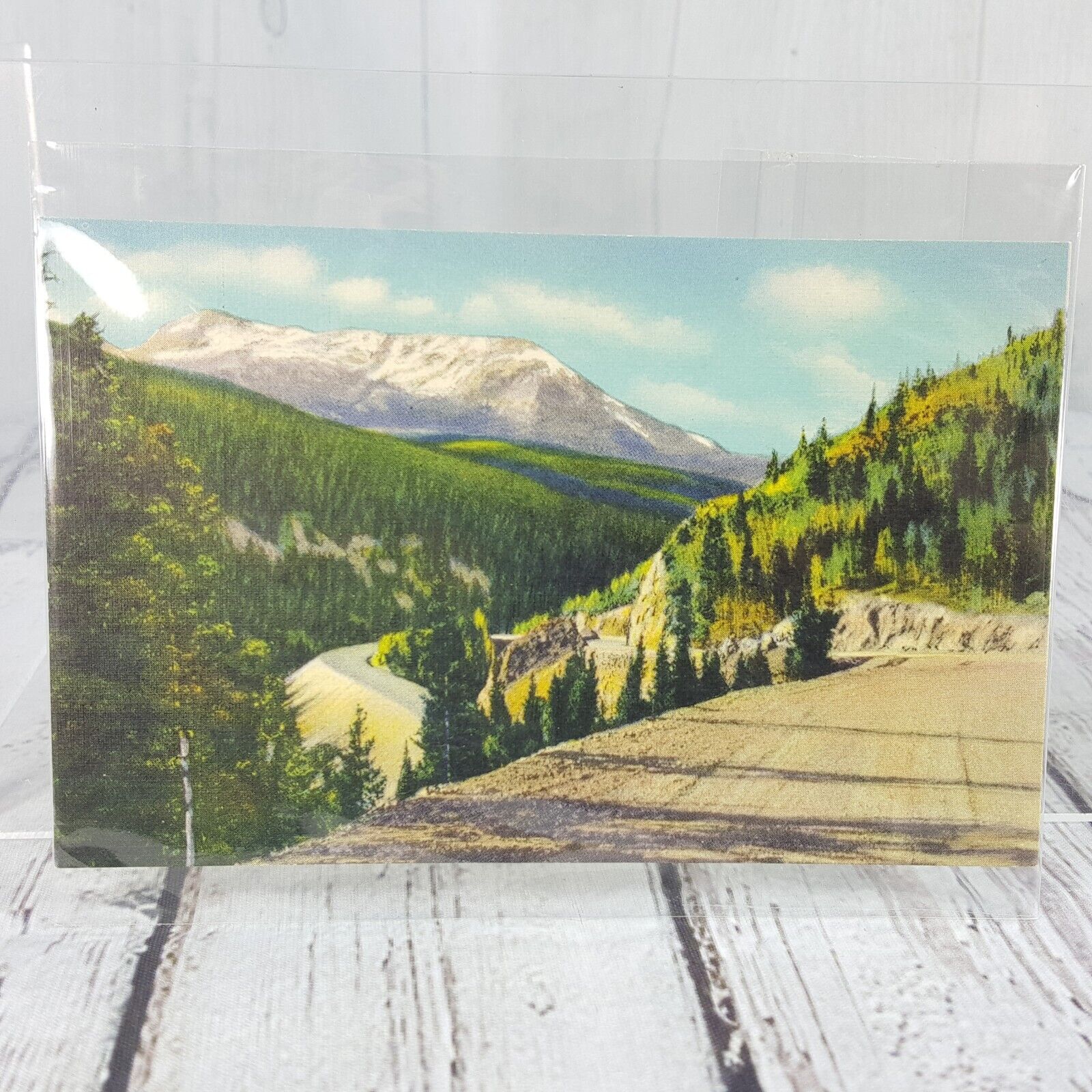 Vintage Color Postcard Mt Richthofen Rocky Mountains Colorado Sanborn Color Tone