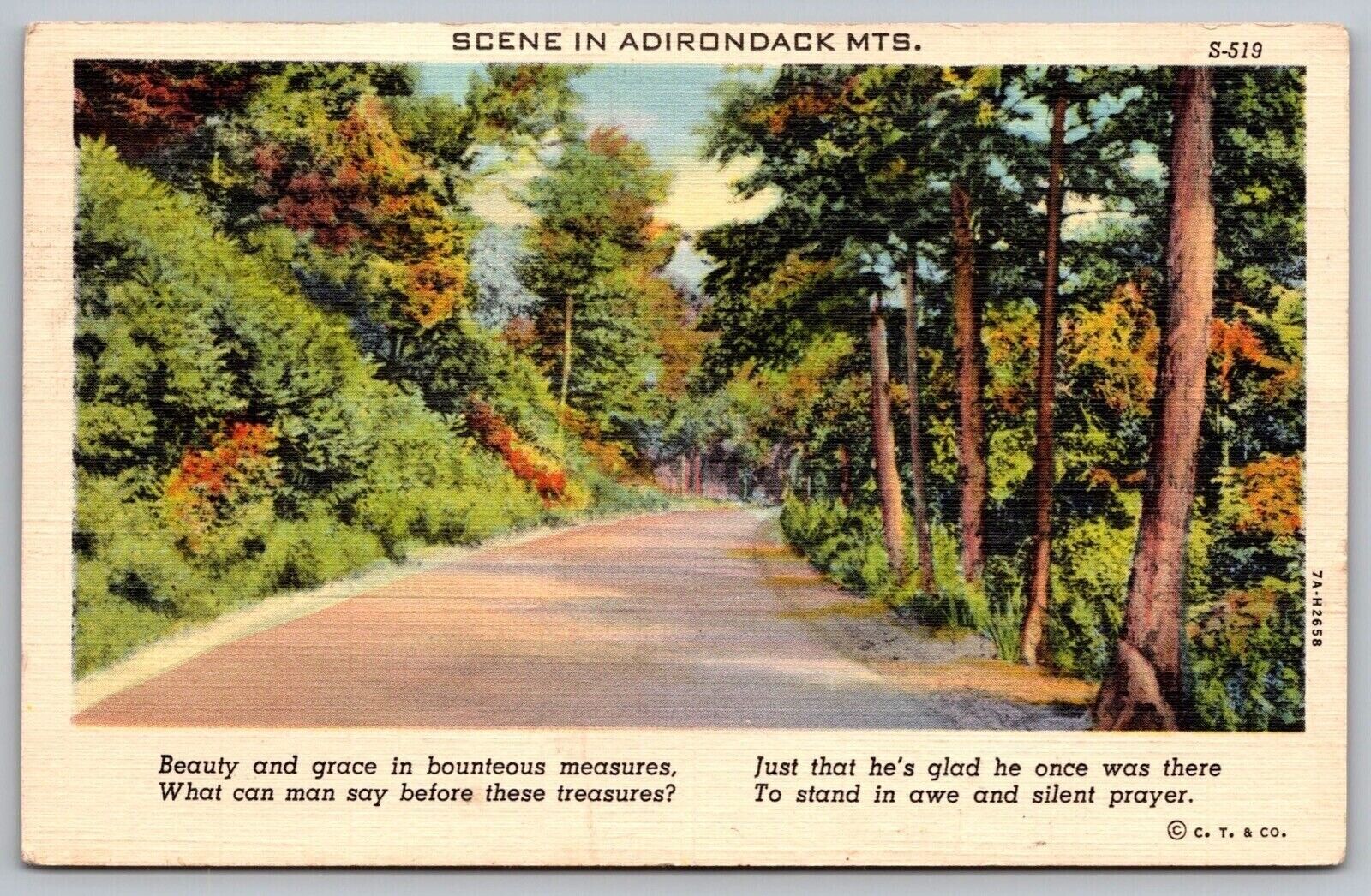Adirondack Mountains Poem Country Road Street View Forest Linen WOB VTG Postcard