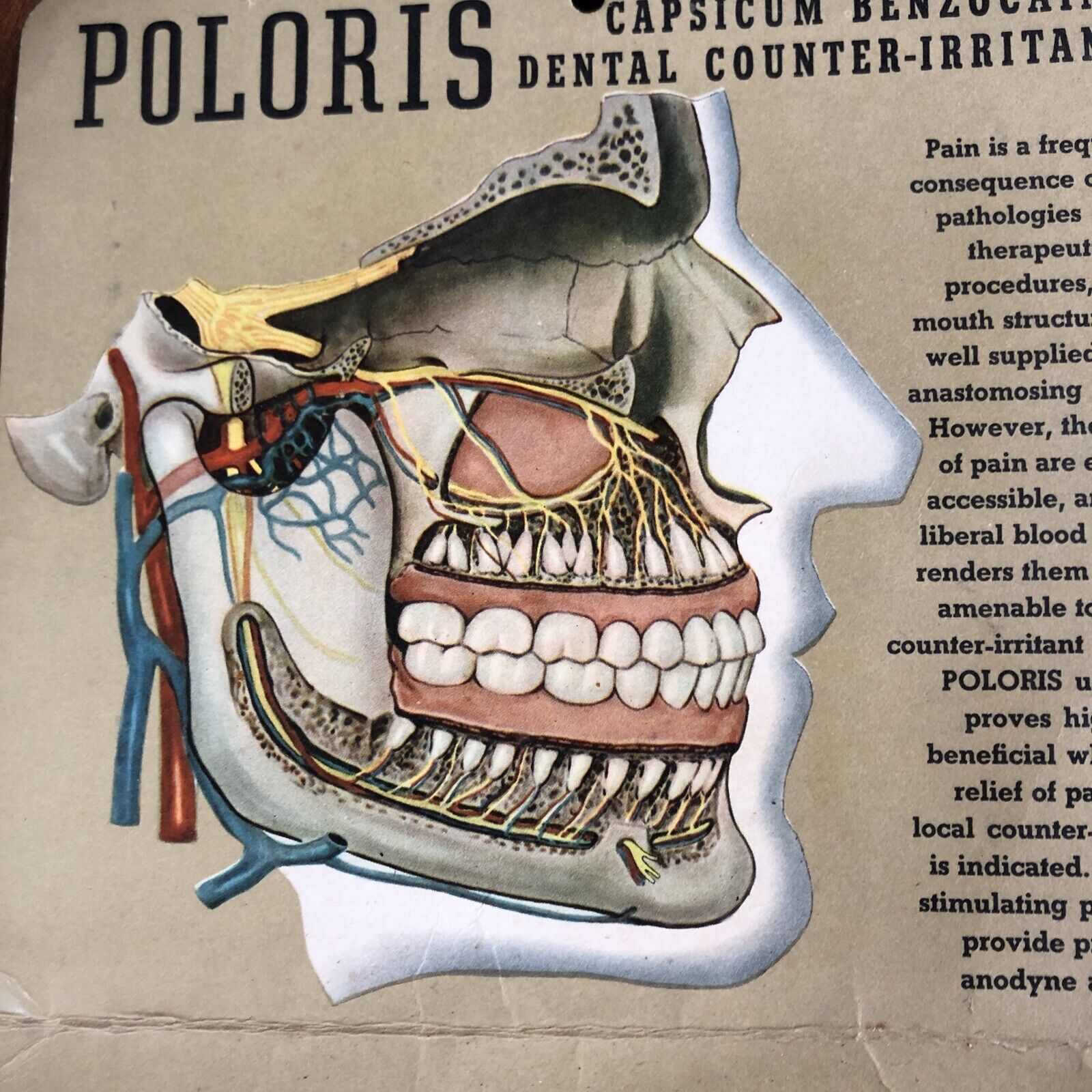 Antique Quack Medicine Poloris Treatment Of Dental Pain General Store Display