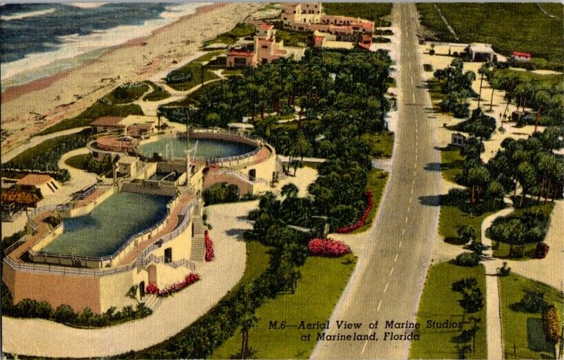 Vintage Postcard Aerial View Marine Studios Marineland FL Florida 1957      E-18