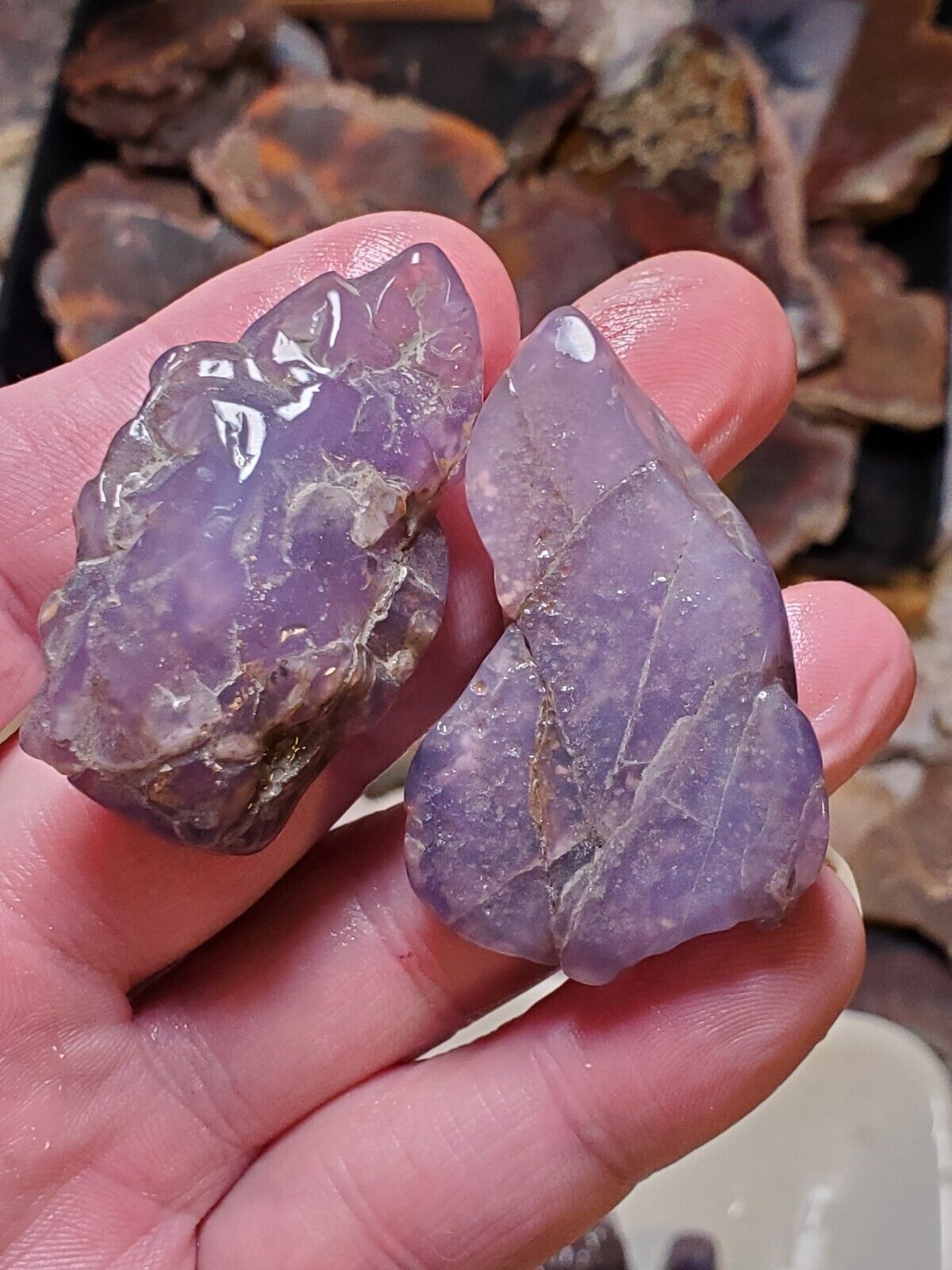 Very RARE Ellensburg Purple Blue Agate Old Stock 1960s 52g 266ct Rough Lapidary 