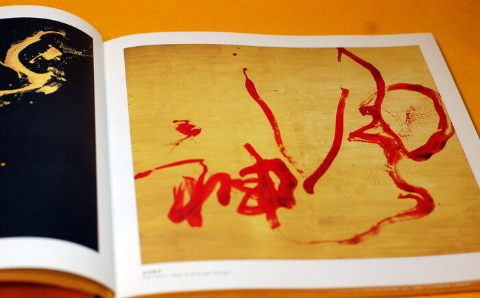 Japanese CALLIGRAPHY KOJI KAKINUMA ZEN ART PHOTO BOOK from Japan rare #0006