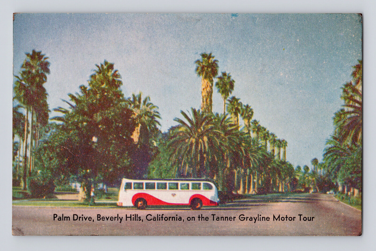 Postcard California Beverly Hills CA Tanner Grayline Bus Palm Drive 1948 Posted