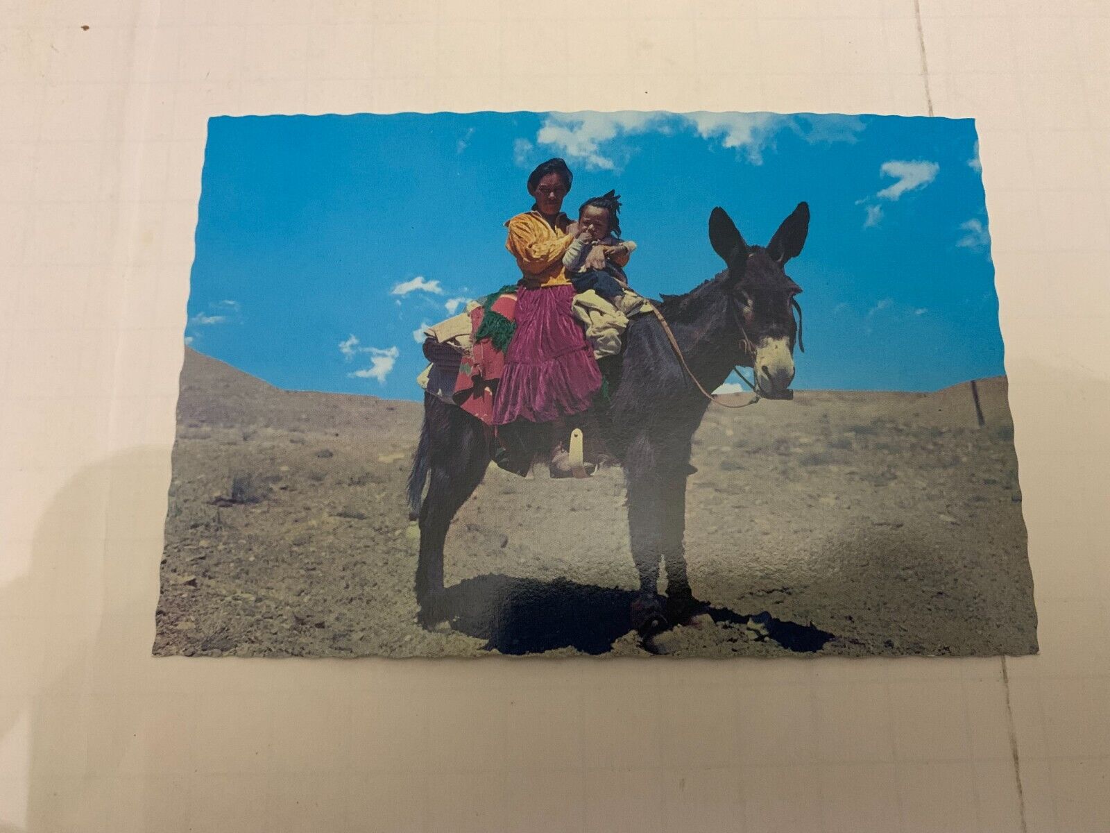 c.1970\'s Navajo Indian Woman and Daughter on Burro Arizona Postcard