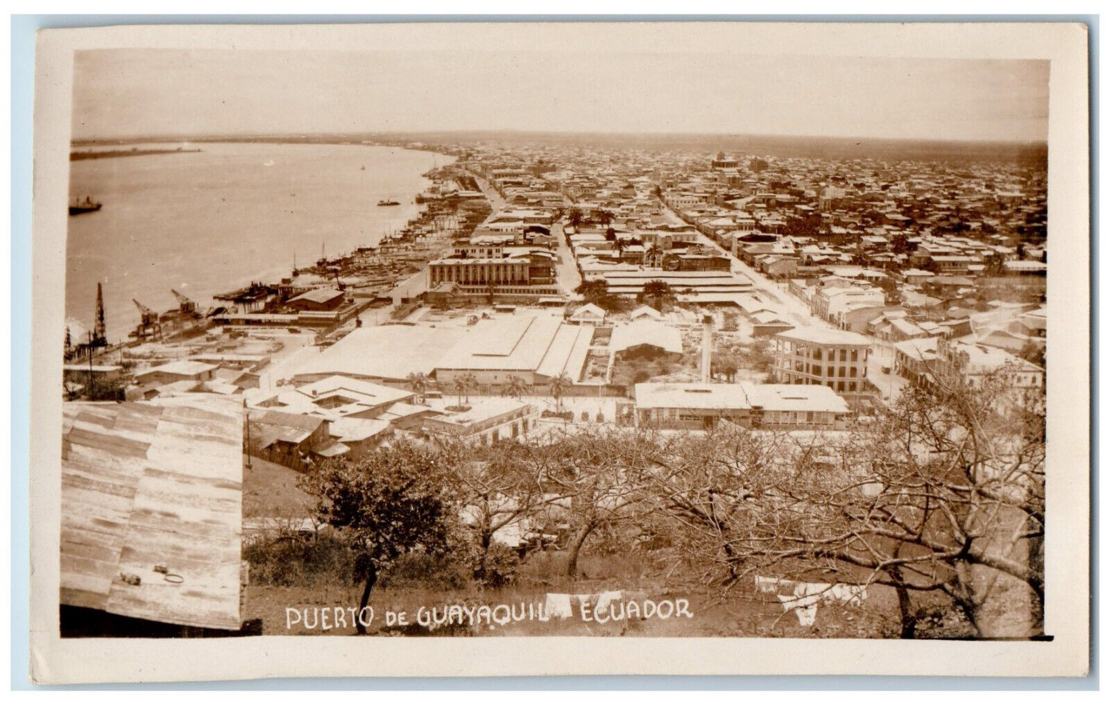 Ecuador Postcard General View Puerto De Guayaquil c1920's Vintage RPPC Photo
