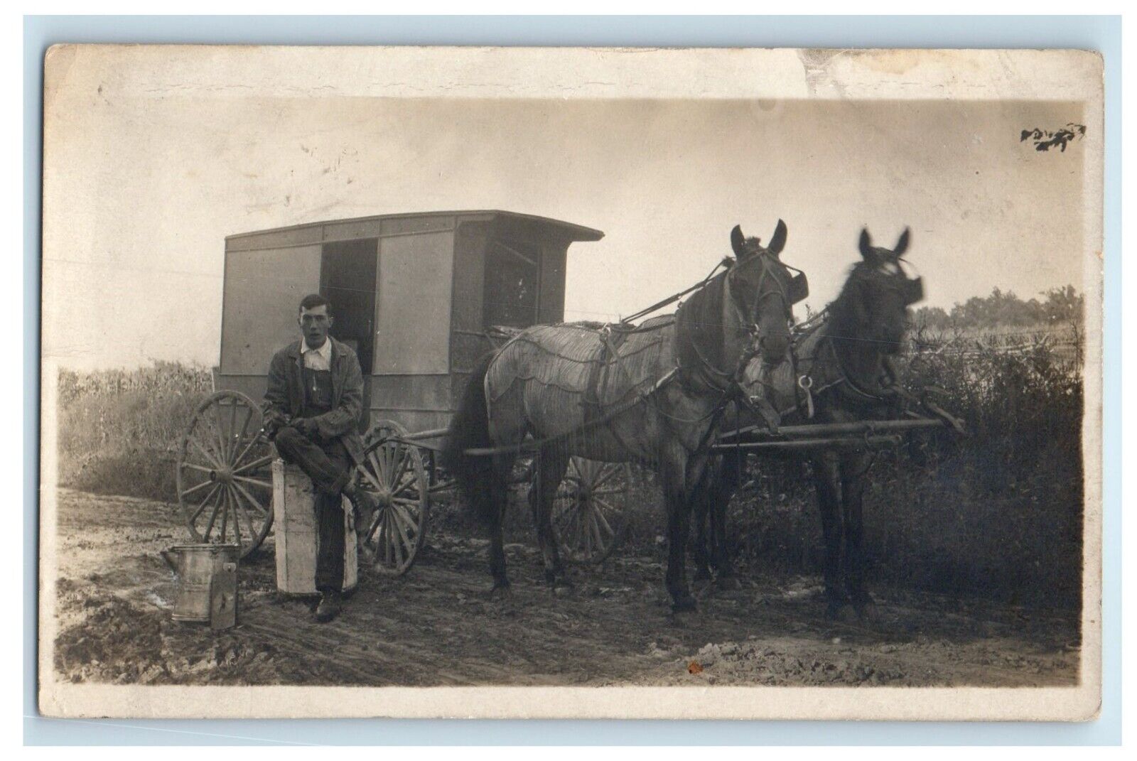 c1910\'s Horses And Carriage Farmer Farmland  RPPC Unposted Photo Postcard