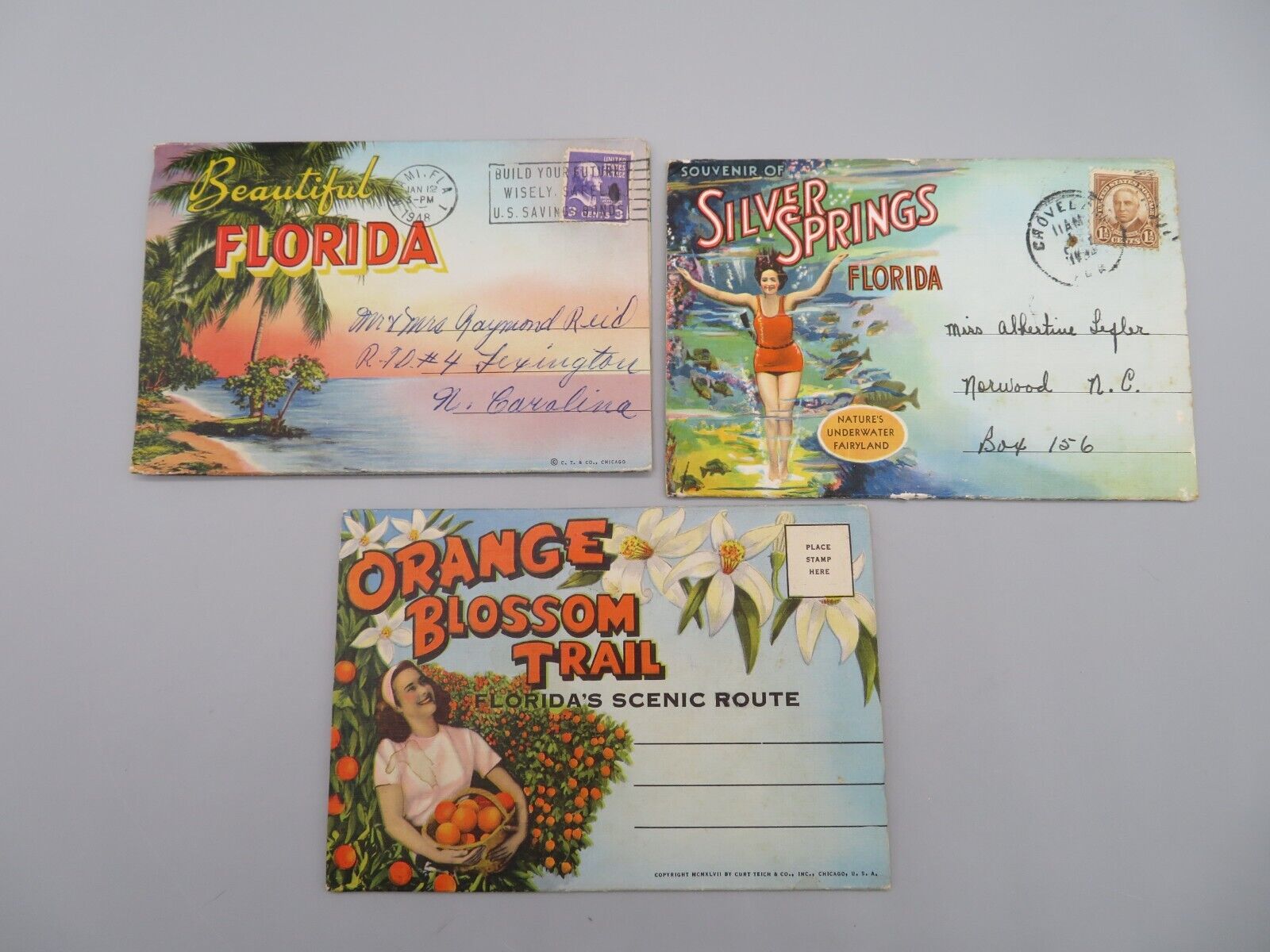 3 Vintage Postcard Fold Outs Florida Silver Springs Orange Blossom c1940's-50's