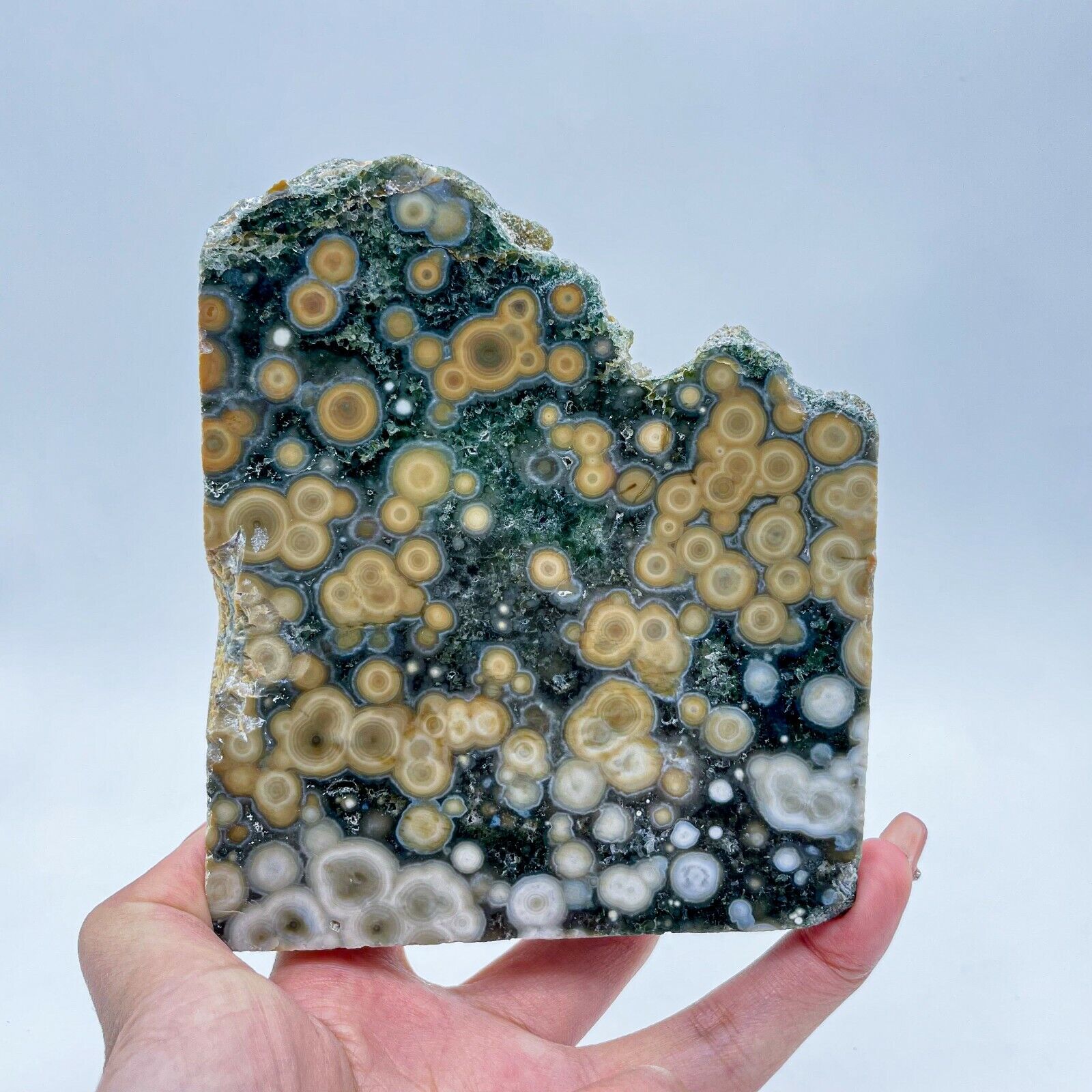 Collection  Amazing Orbicular Ocean Jasper Agate Druzy Slab Reiki Stone Gift 19