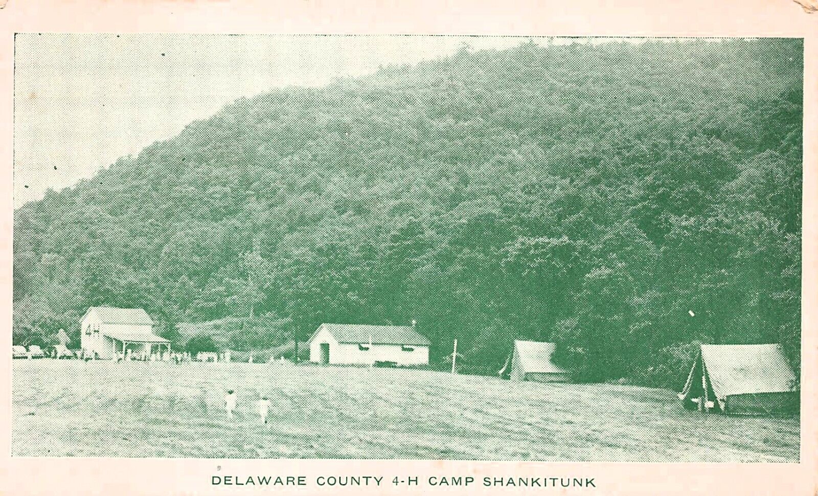 Delhi NY New York Camp Shankitunk Catskill Mountain Boyscouts Vtg Postcard D36