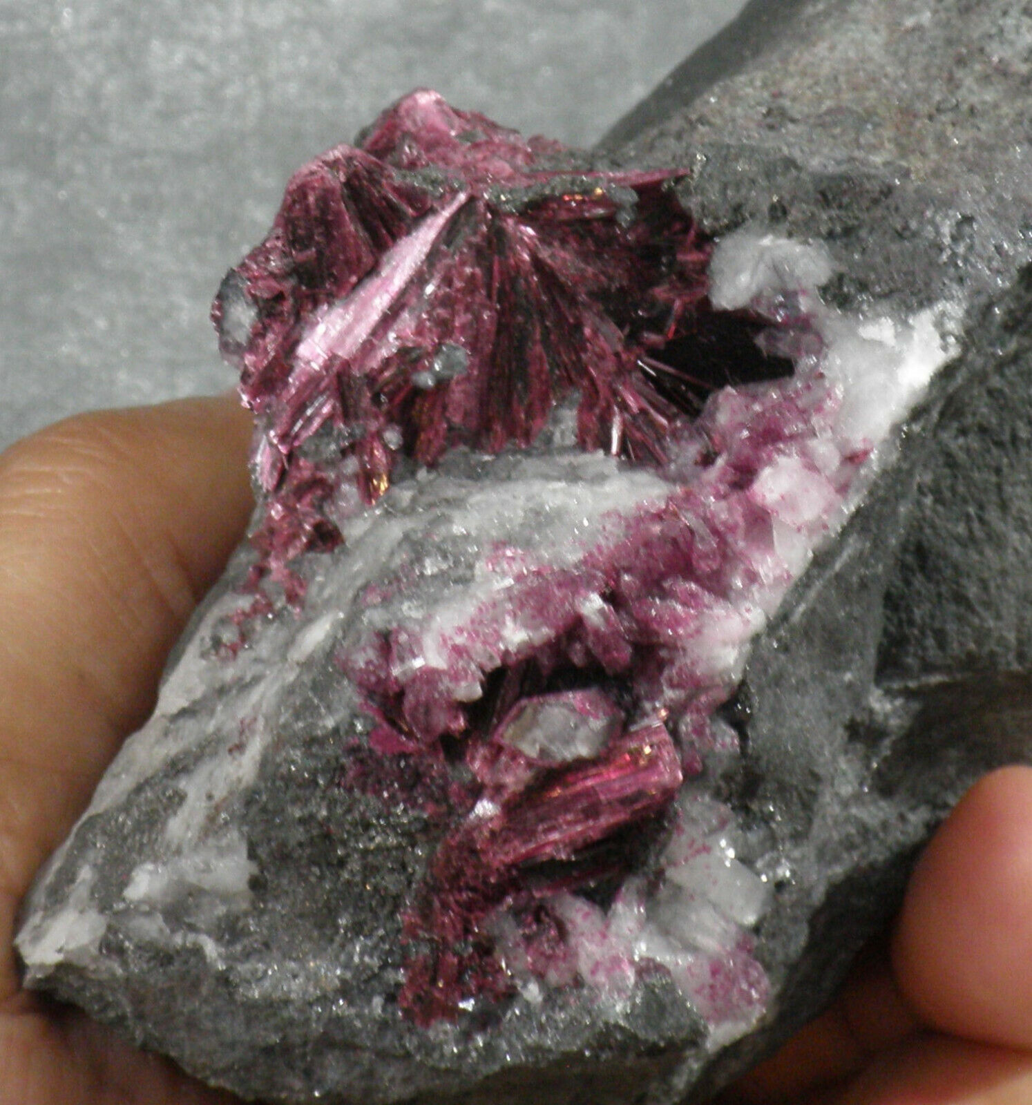 Large Erythrite Quartz Red Cobalt Bloom Bou Azzer Morocco 11cm 450gm 2cm crystal
