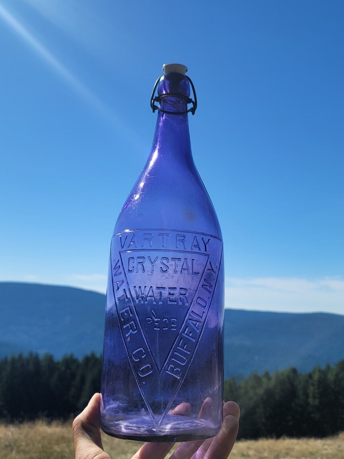 SPectacular Jumbo Amethyst Buffalo New York Bottle☆1880s Crystal Water W Top