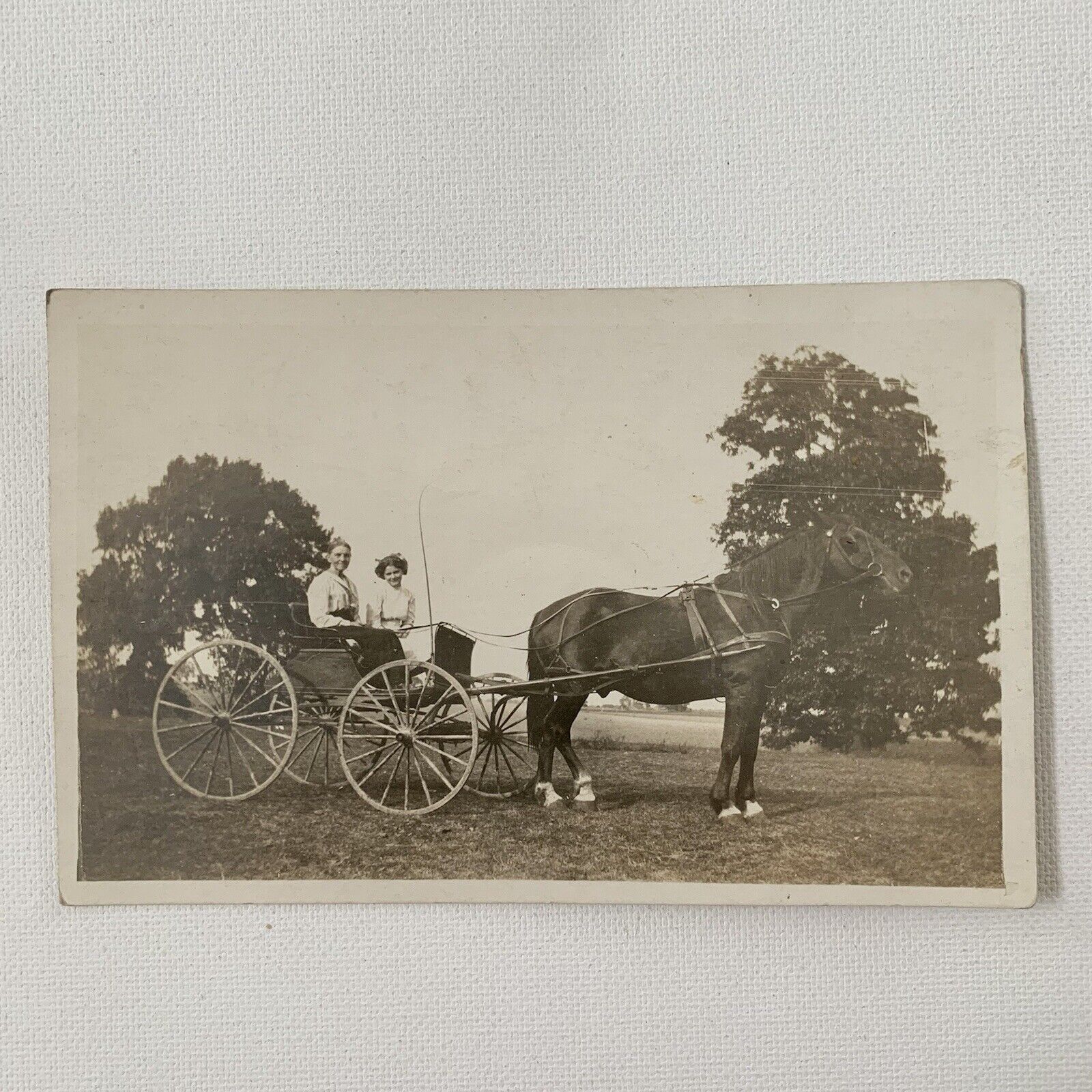 Antique RPPC Real Photograph Postcard Horse Drawn Wagon Beautiful Woman Daughter