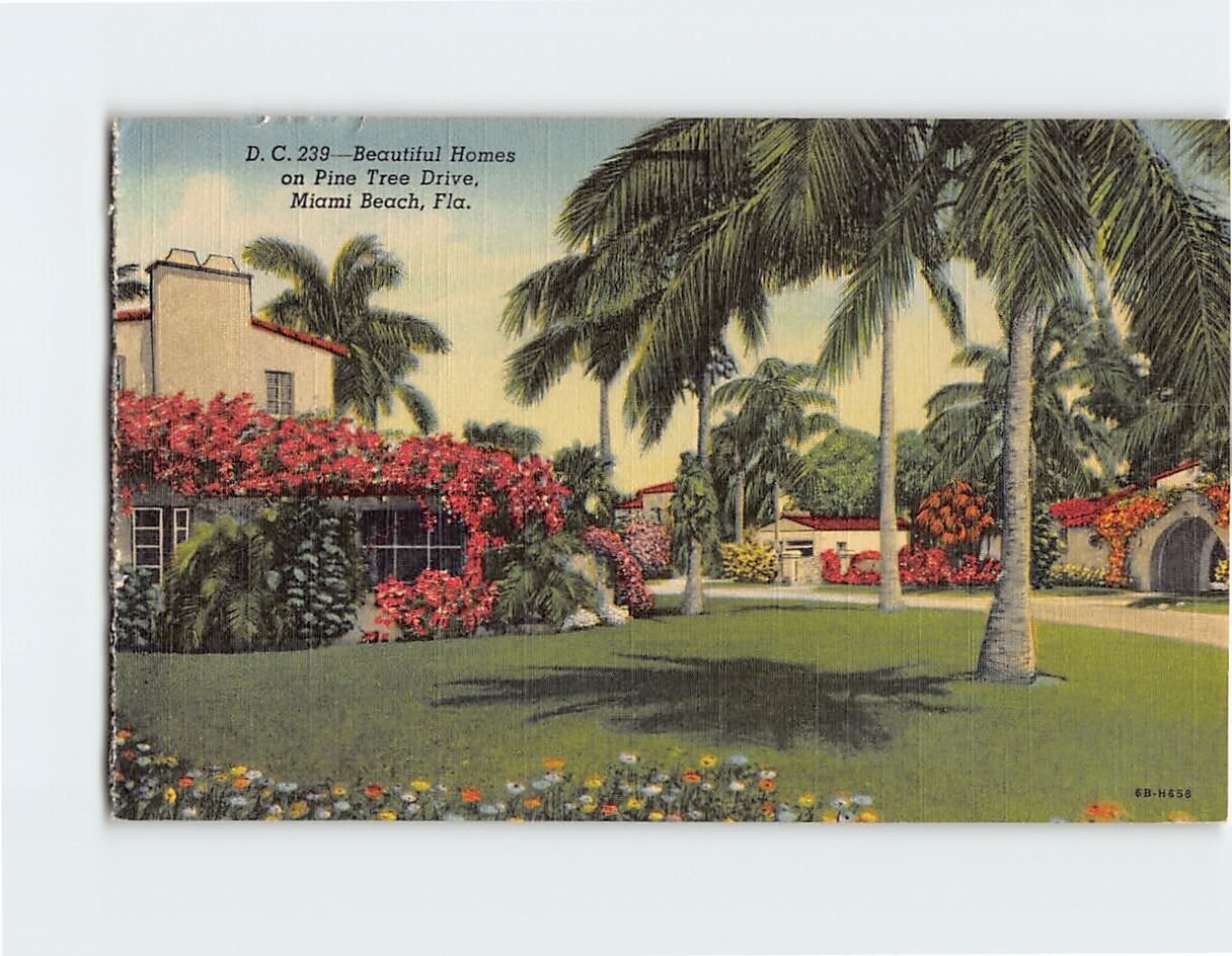 Postcard Beautiful Homes on Pine Tree Drive Miami Beach Florida USA