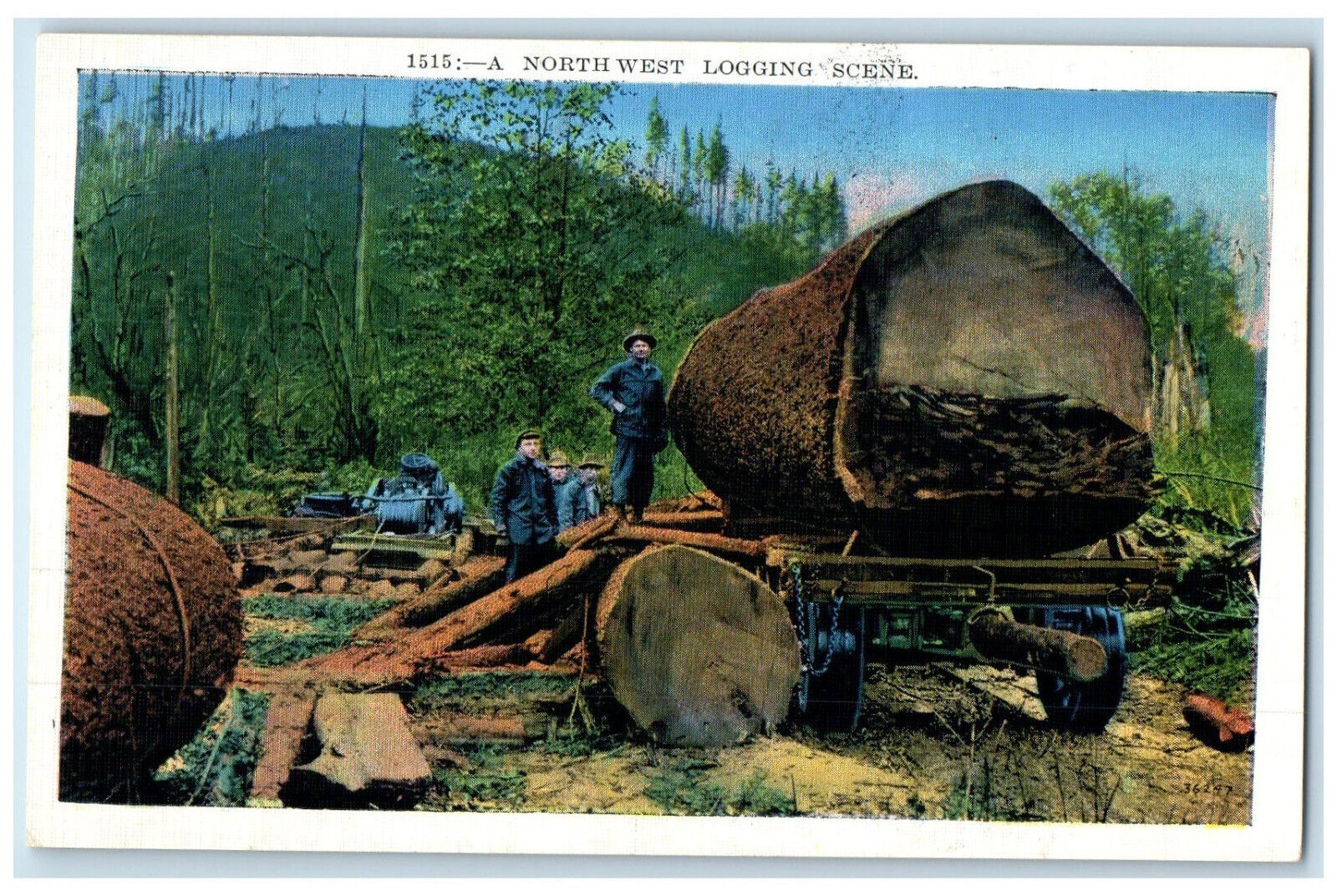 c1920's Big Tree Log A North West Logging Scene Washington WA Antique Postcard