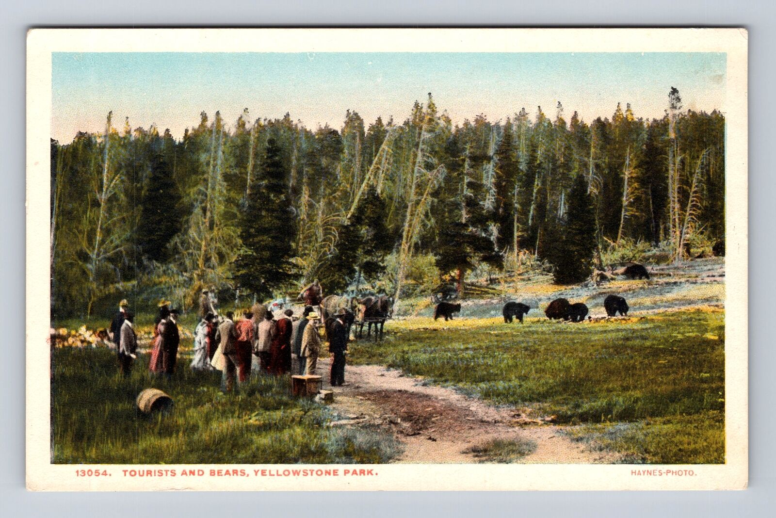 Yellowstone National Park, Tourists And Bears, Series #13054, Vintage Postcard