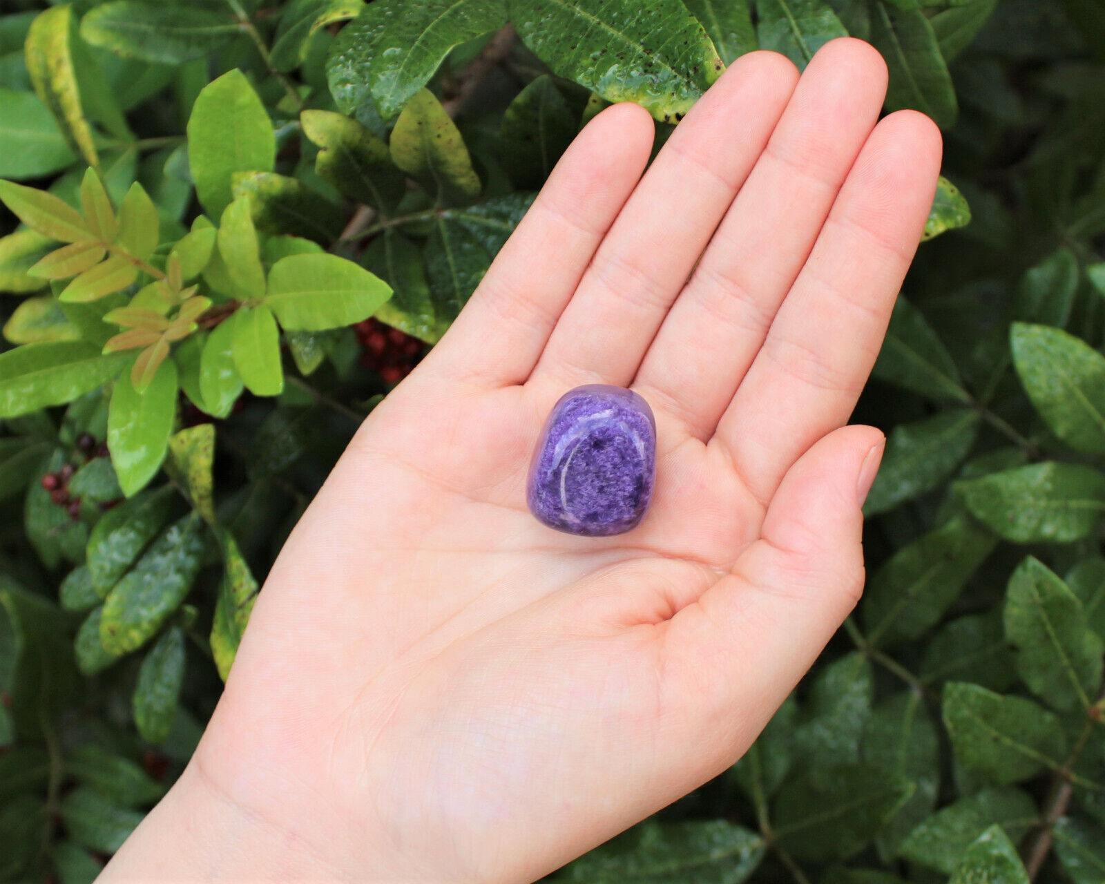 Charoite Tumbled Stones: Choose How Many Pieces (Premium Quality \'A\' Grade)